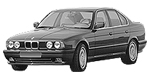 BMW E34 C2445 Fault Code